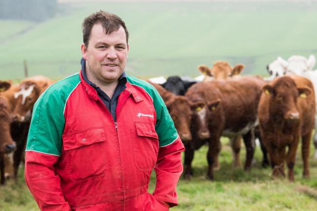 Graeme Mather在前两周的裁判中看到了69％的小母牛和64％的奶牛Calve Ref：RH28817760 ...