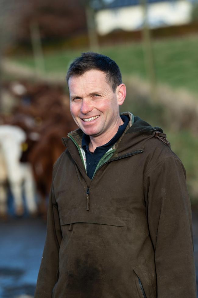 Neil McGowan将IBR标记疫苗添加到他的牛管理中，因为有点是'牧群保险单'