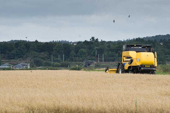 欧洲农业领导人希望在考虑新的气候立法时将粮食安全放在首位。参考文献:RH280818013