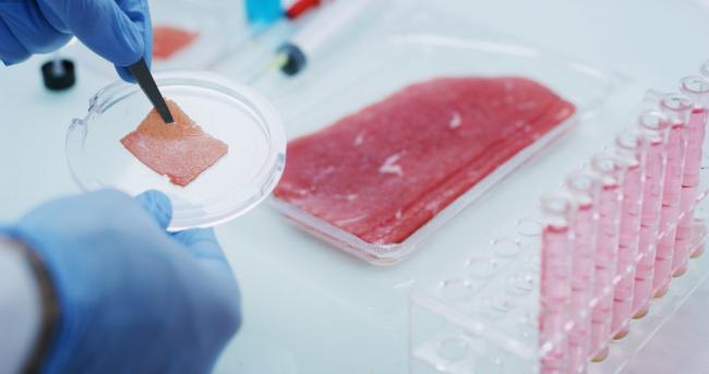 越来越多的国际机构支持实验室培育的肉