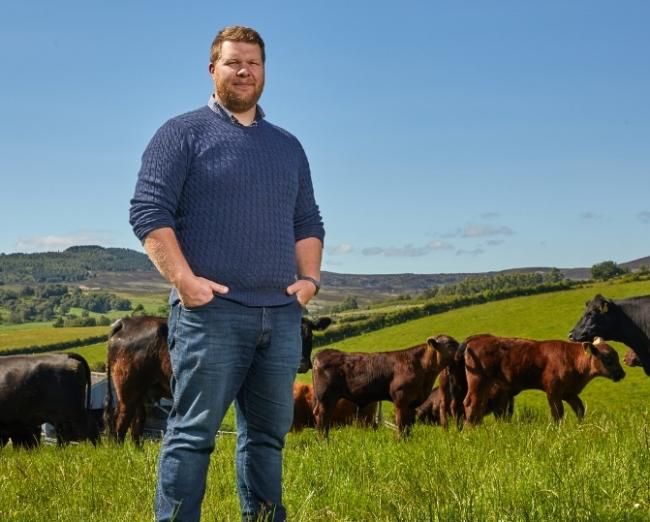 DNA数据对于改善苏格兰牛肉PGI至关重要